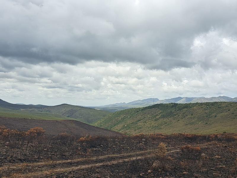 0 Bedroom Property for Sale in Kareedouw Eastern Cape